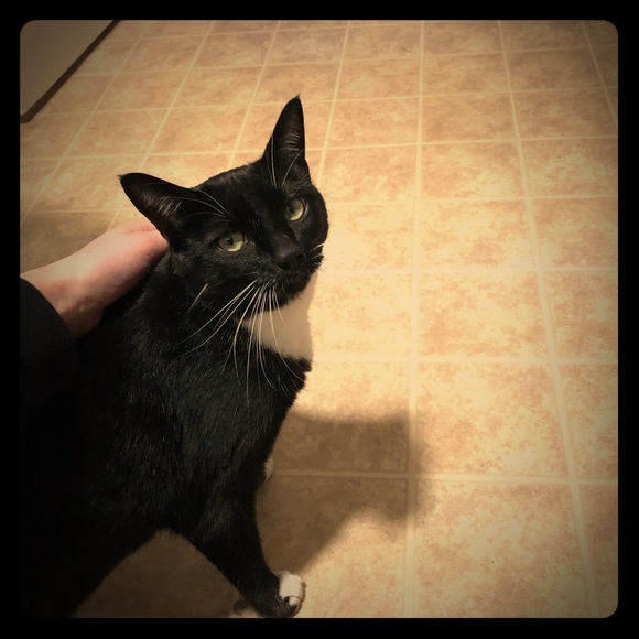 Meet your Posher - Picture 1 of 1